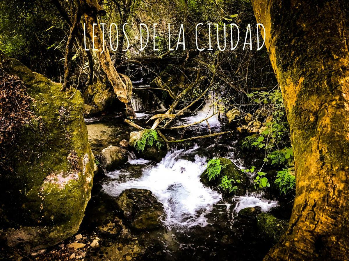 El Bosque, tu entrada a la Sierra Gaditana. Exterior foto