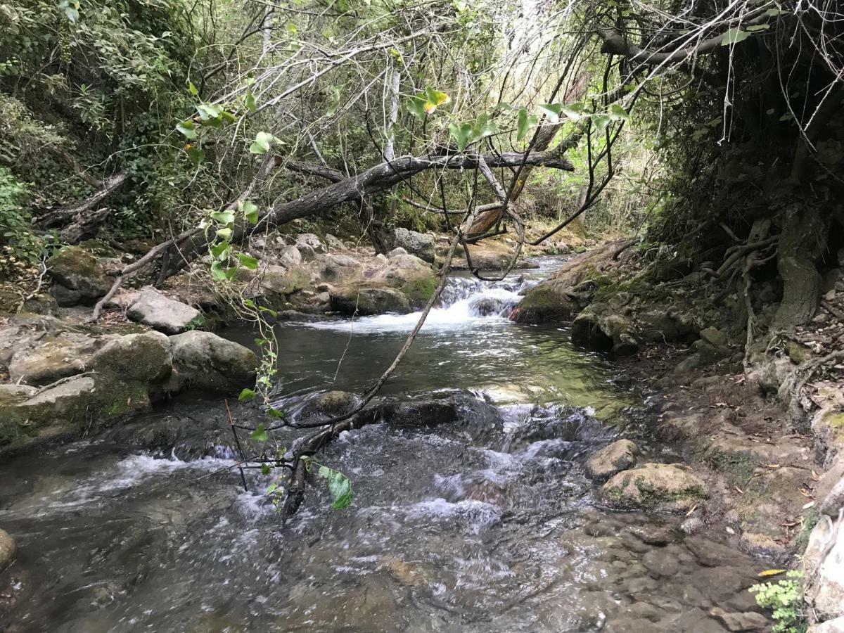 El Bosque, tu entrada a la Sierra Gaditana. Exterior foto